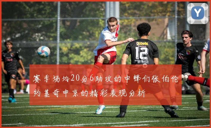 赛季场均20分6助攻的中锋们张伯伦约基奇申京的精彩表现分析