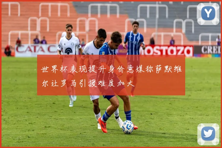 世界杯表现提升身价意媒称萨默维尔让罗马引援难度加大